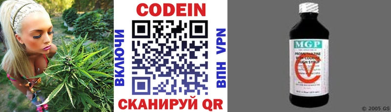 Купить где  Бирюч  Codein Purple Drank 