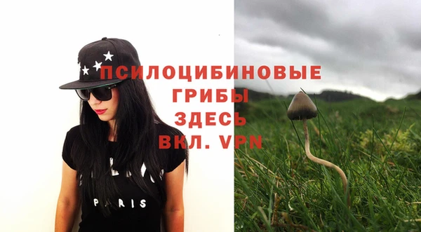 дживик Зеленодольск