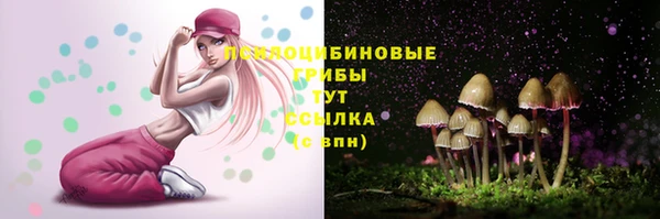 дживик Зеленодольск