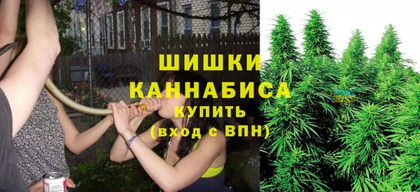 мескалин Заводоуковск